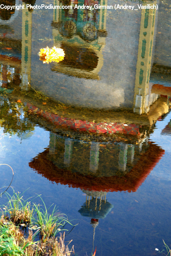 Puddle, Field, Grass, Grassland, Plant, Vegetation, Fountain