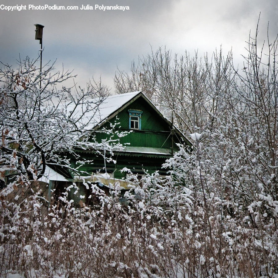Cabin, Hut, Rural, Shack, Shelter, Building, Cottage