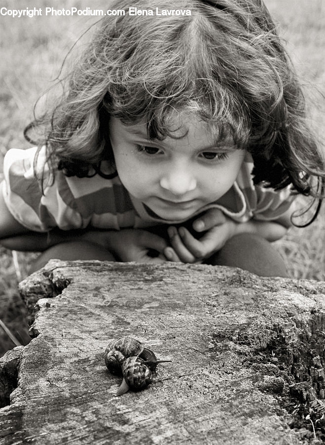 People, Person, Human, Reptile, Sea Life, Tortoise, Turtle