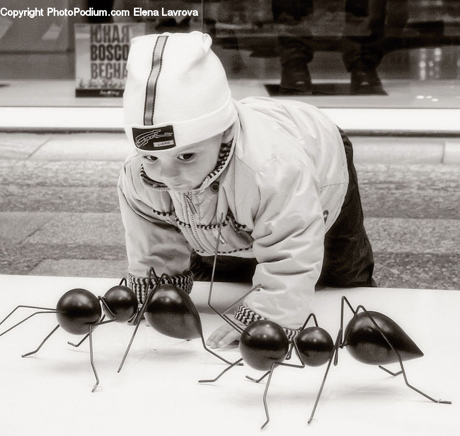 People, Person, Human, Ant, Insect, Invertebrate, Accessories