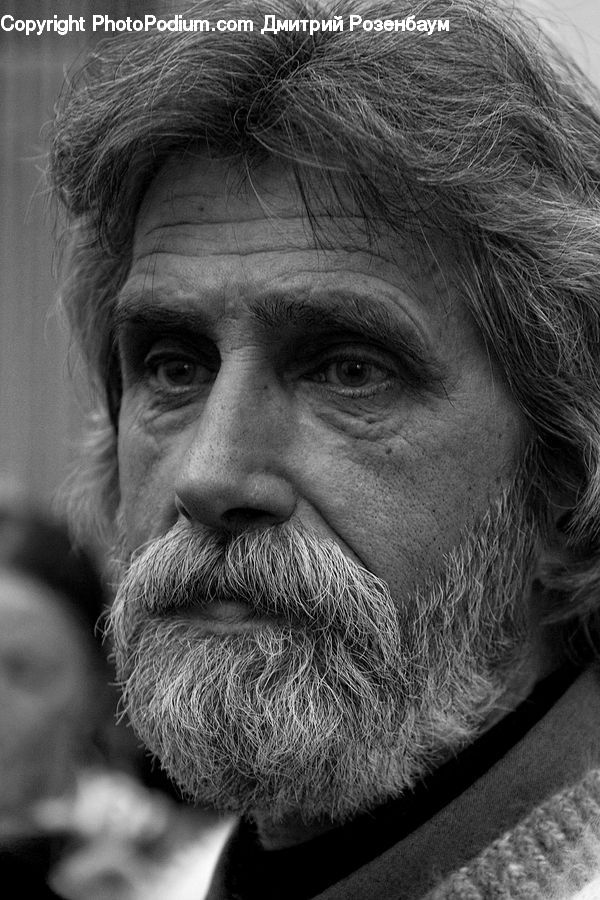 Beard, Hair, Person, Portrait, Face