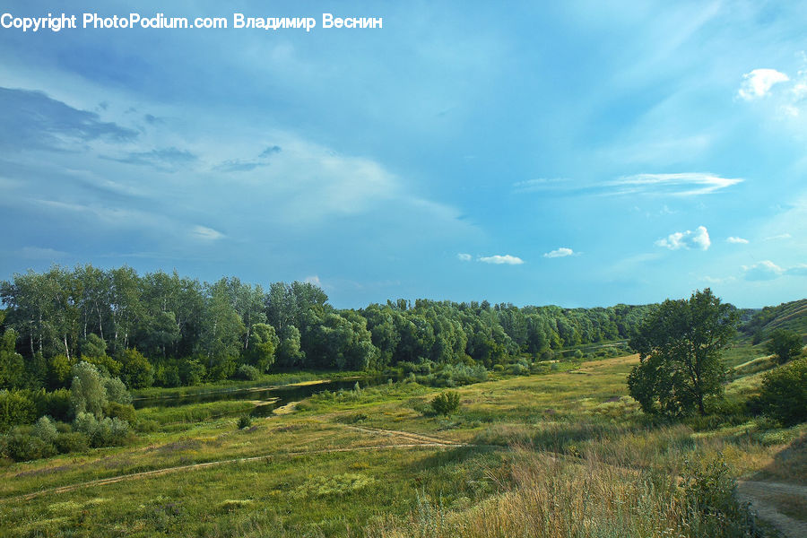 Field, Grass, Grassland, Land, Outdoors, Landscape, Nature