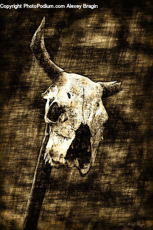 Angus, Animal, Bull, Mammal, Cattle, Longhorn, Emblem