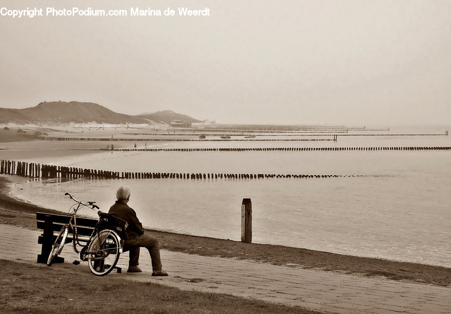 Wheelchair, People, Person, Human, Beach, Coast, Outdoors