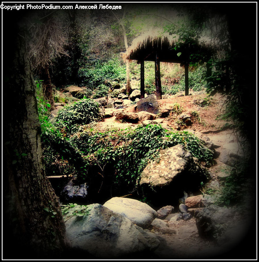 Hole, Bush, Plant, Vegetation, Ground, Soil, Cave