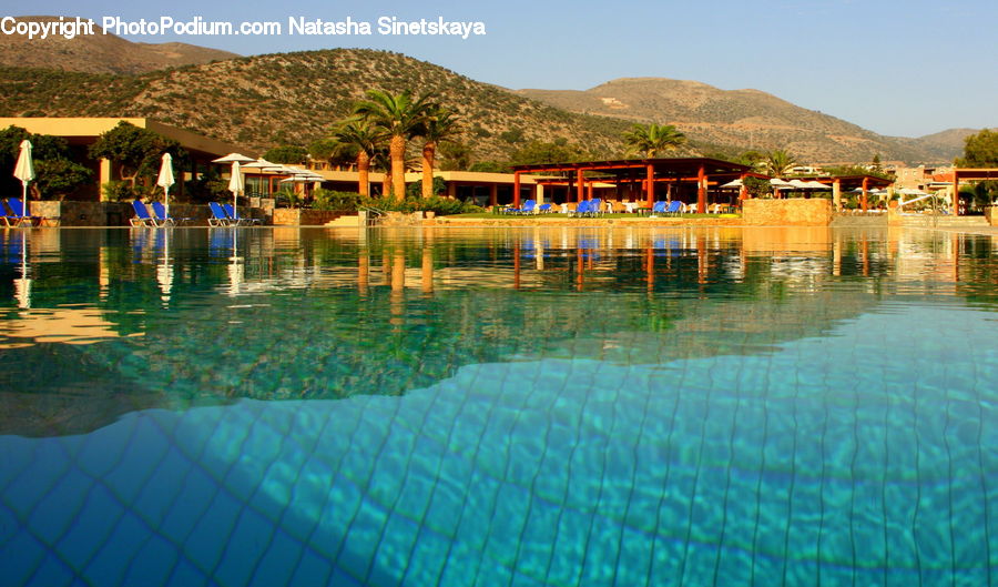 Hotel, Resort, Pool, Swimming Pool, Water, Architecture, Shrine