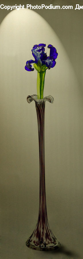 Glass, Goblet, Flower Arrangement, Ikebana, Plant, Potted Plant, Vase