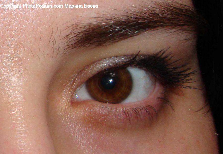 Human, People, Person, Contact Lens