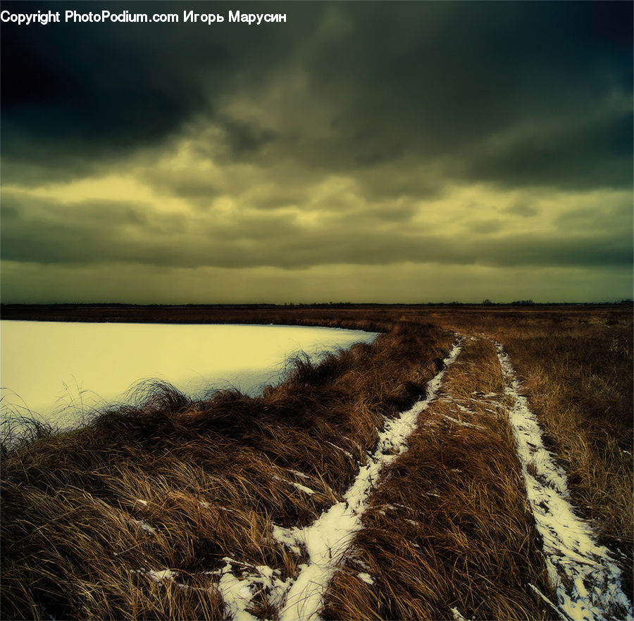Ditch, Field, Grass, Grassland, Plant, Dirt Road, Gravel