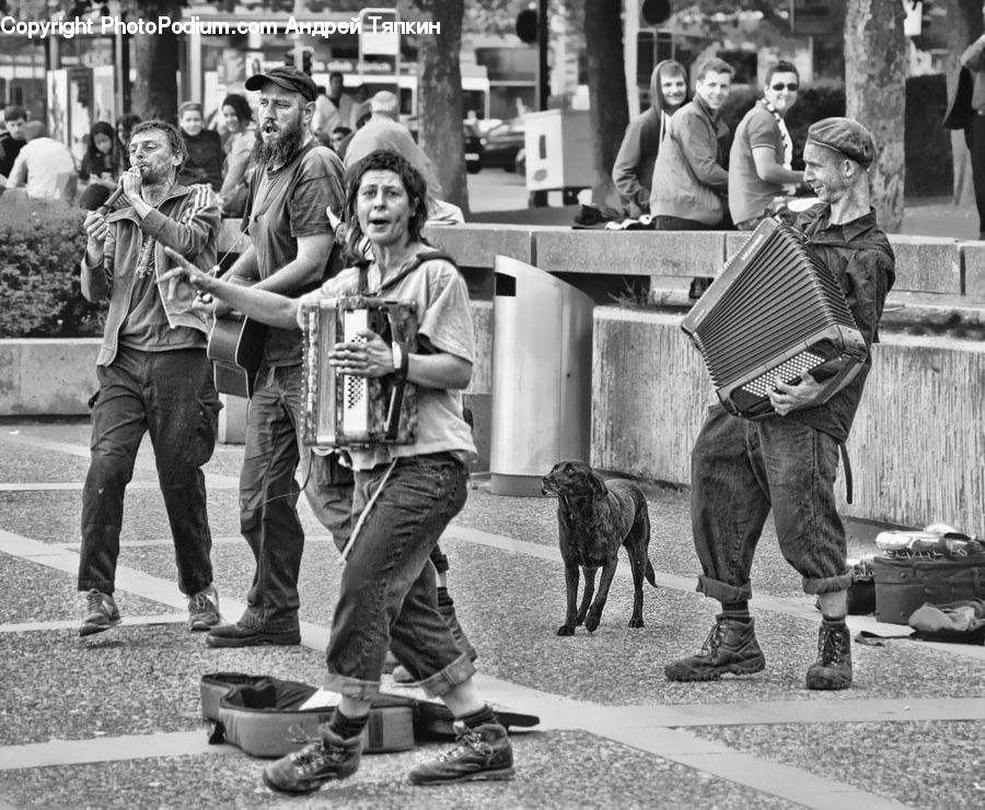 People, Person, Human, Performer, Animal, Canine, Dog