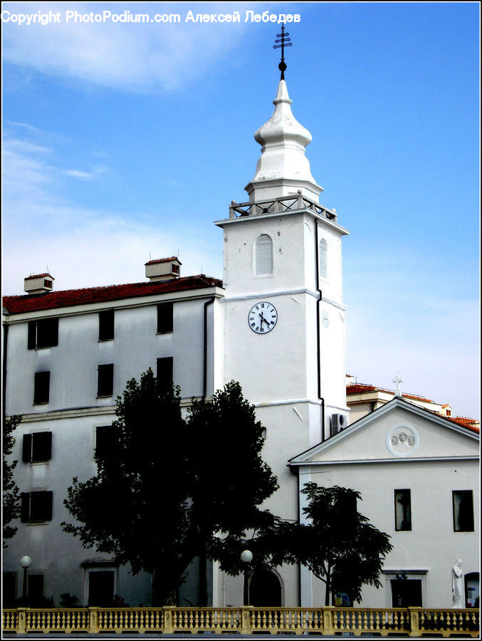 Plant, Potted Plant, Architecture, Bell Tower, Clock Tower, Tower, Building