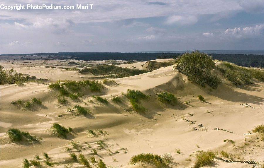 Outdoors, Sand, Soil, Dune, Desert, Flood, Beach