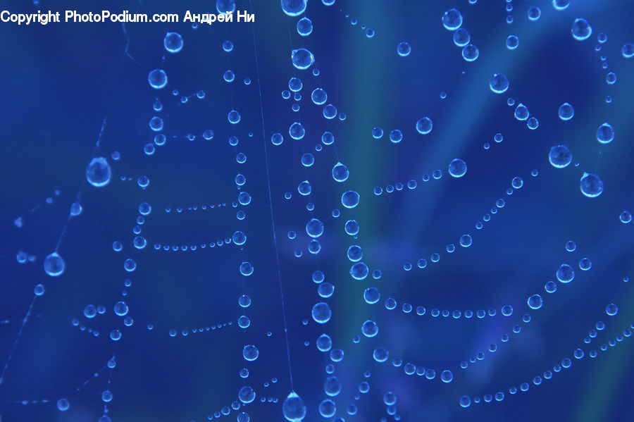 Fractal