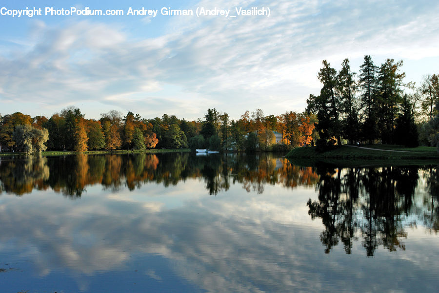 Lake, Outdoors, Water, Conifer, Fir, Plant, Tree