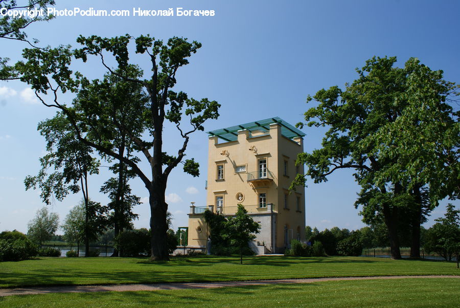 Plant, Potted Plant, Tree, Field, Grass, Grassland, Architecture