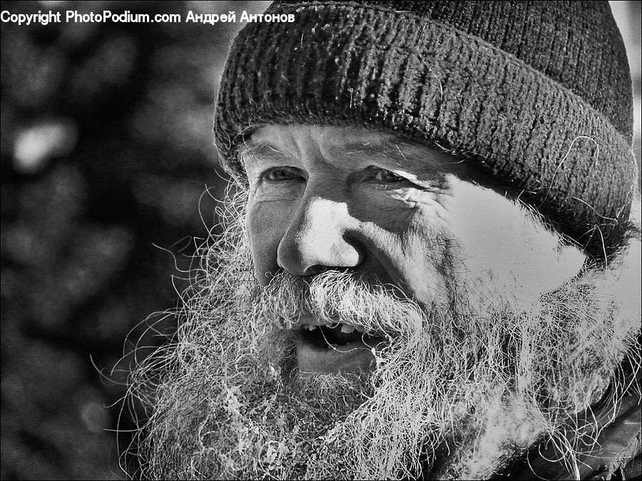 Beard, Hair, Person, Portrait, Selfie