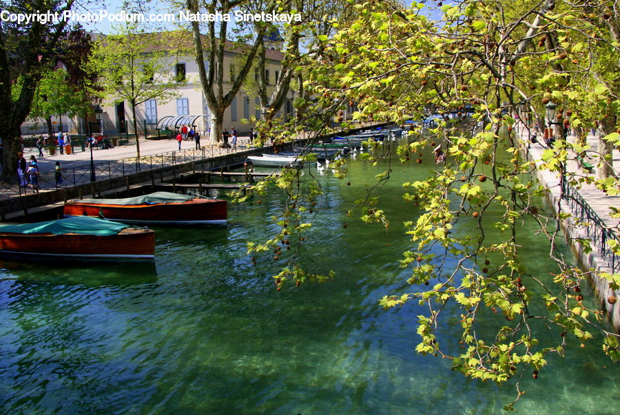 Boat, Watercraft, Plant, Tree, Building, Housing, Villa