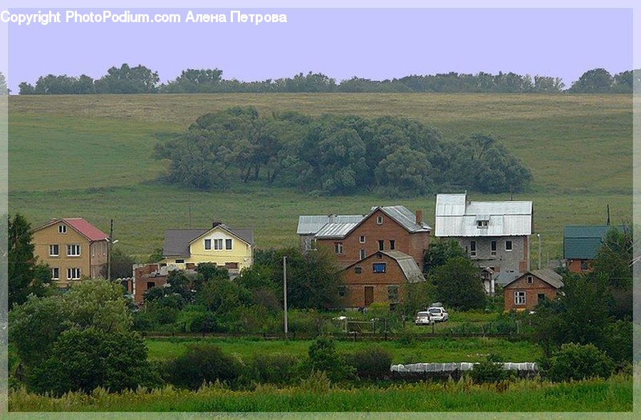 Plant, Potted Plant, Roof, Building, Housing, Villa, Cottage