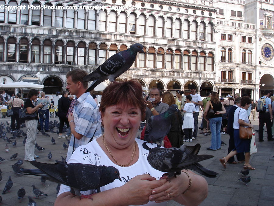People, Person, Human, Bird, Pigeon, Crowd, Parade