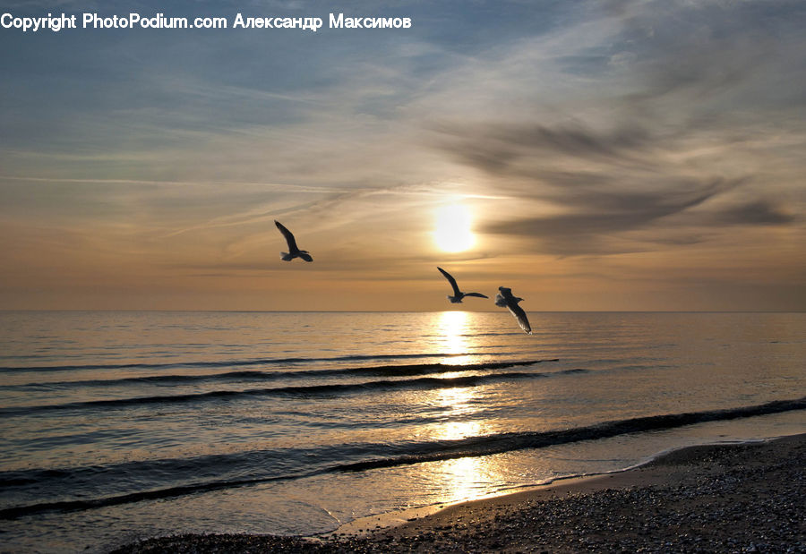 Beach, Coast, Outdoors, Sea, Water, Ocean, Landscape