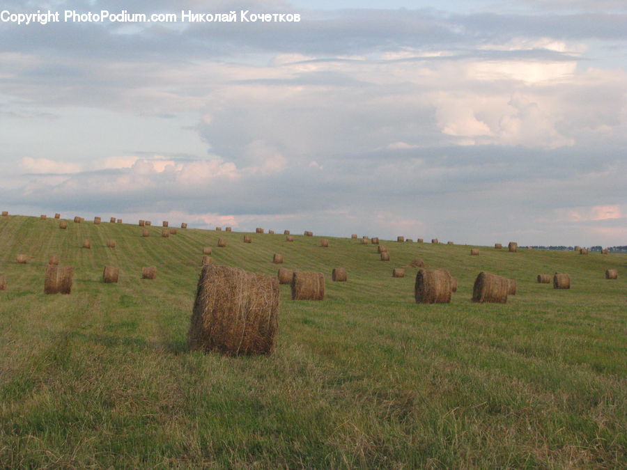Countryside, Hay, Straw, Field, Grass, Grassland, Land