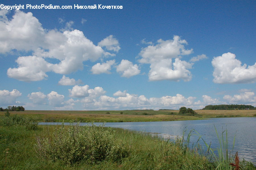 Cloud, Cumulus, Sky, Field, Grass, Grassland, Land