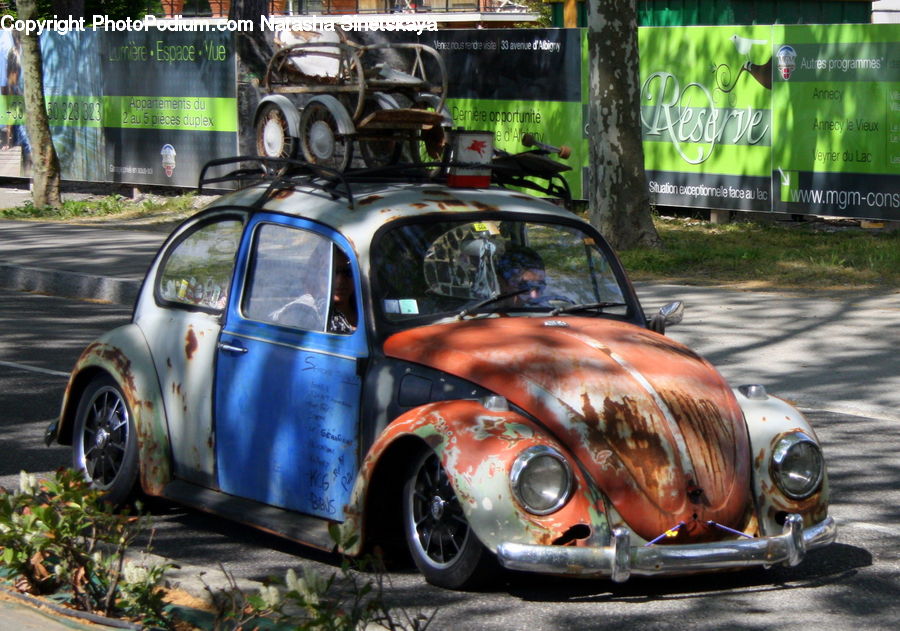 Roof Rack, Plant, Potted Plant, Billboard, Automobile, Car, Vehicle
