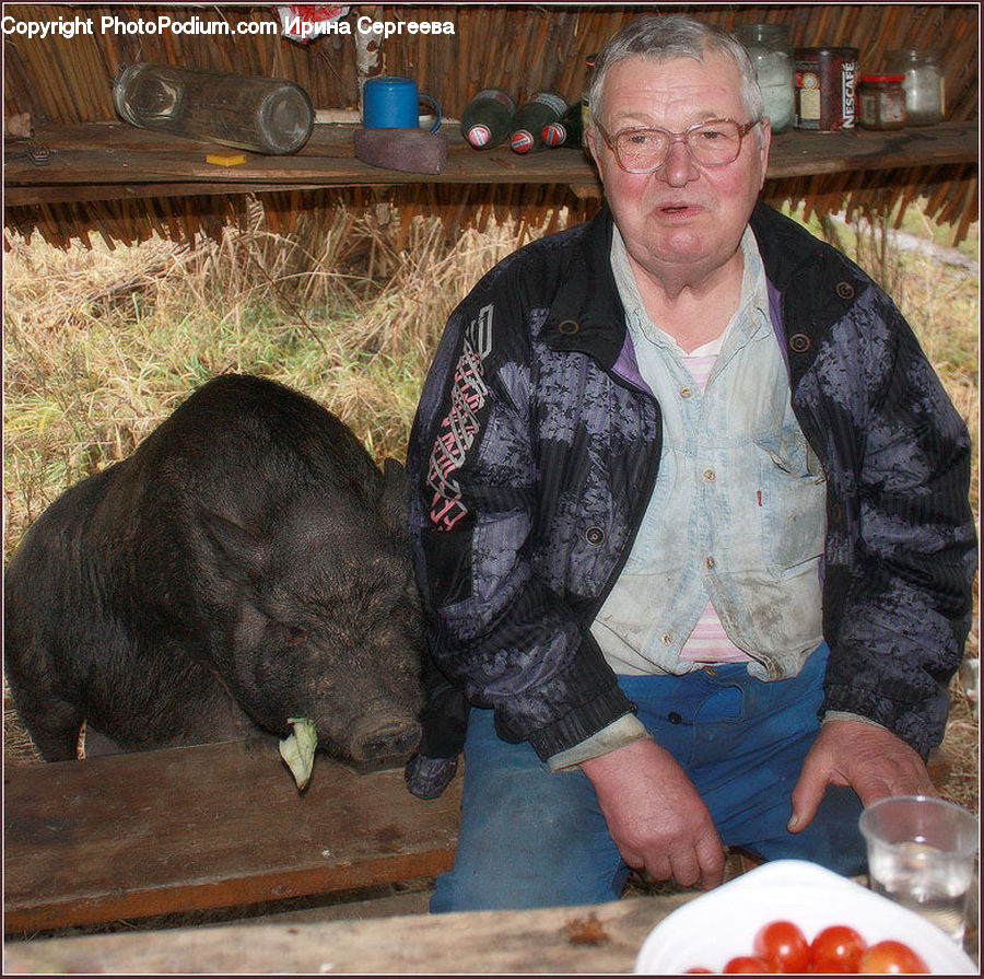 People, Person, Human, Animal, Boar, Hog, Mammal
