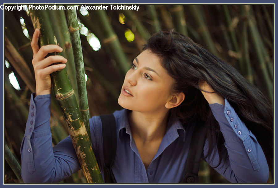 People, Person, Human, Bamboo, Bamboo Shoot, Produce, Vegetable
