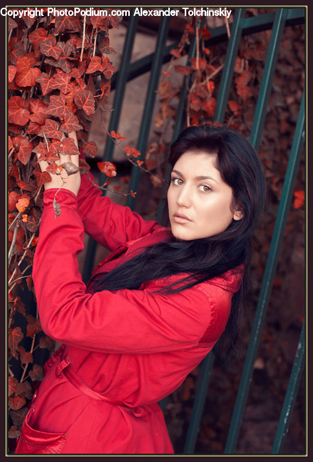 People, Person, Human, Female, Girl, Woman, Costume