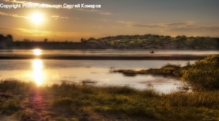 Land, Marsh, Pond, Swamp, Water, Dawn, Dusk