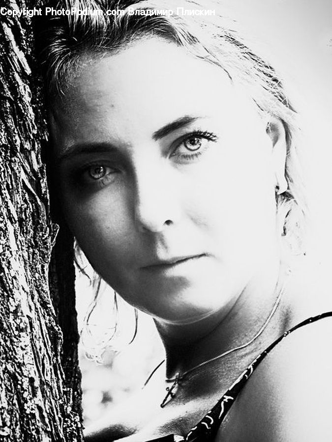 Human, People, Person, Portrait, Female, Face
