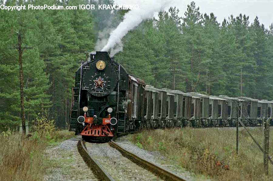Train, Vehicle