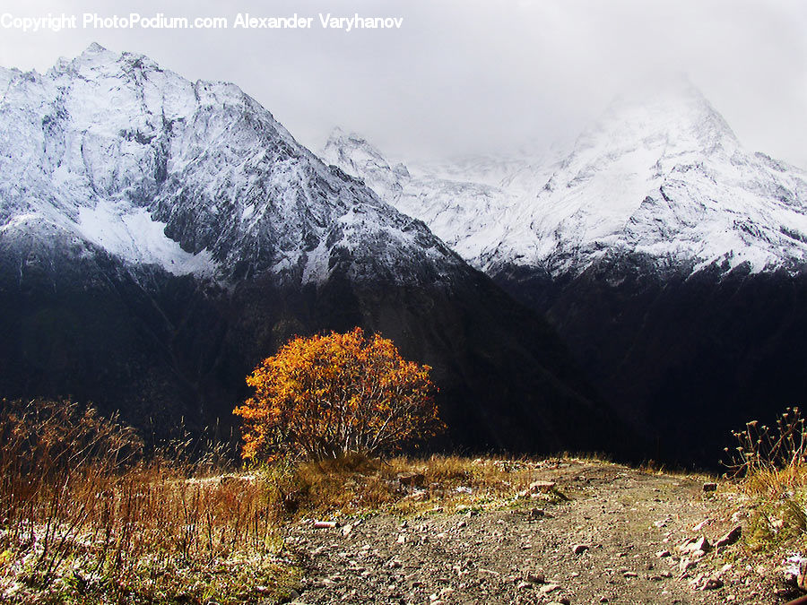 Arctic, Glacier, Ice, Mountain, Outdoors, Snow, Crest