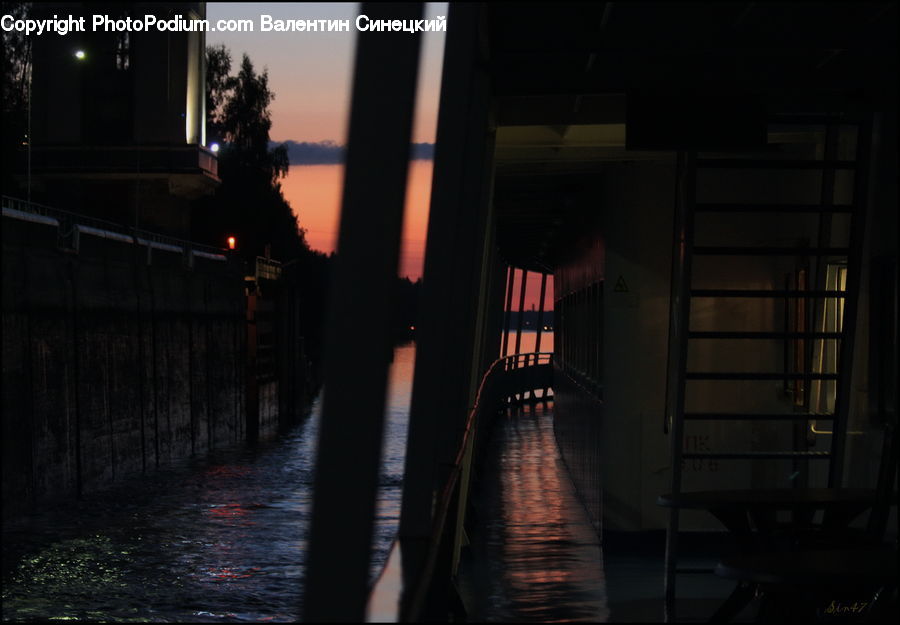Dock, Pier, Plant, Potted Plant, Alley, Alleyway, Road