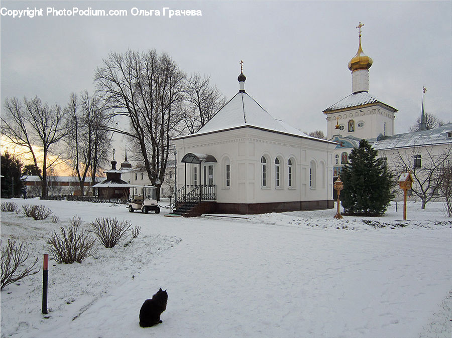 Ice, Outdoors, Snow, Plant, Potted Plant, Architecture, Dome
