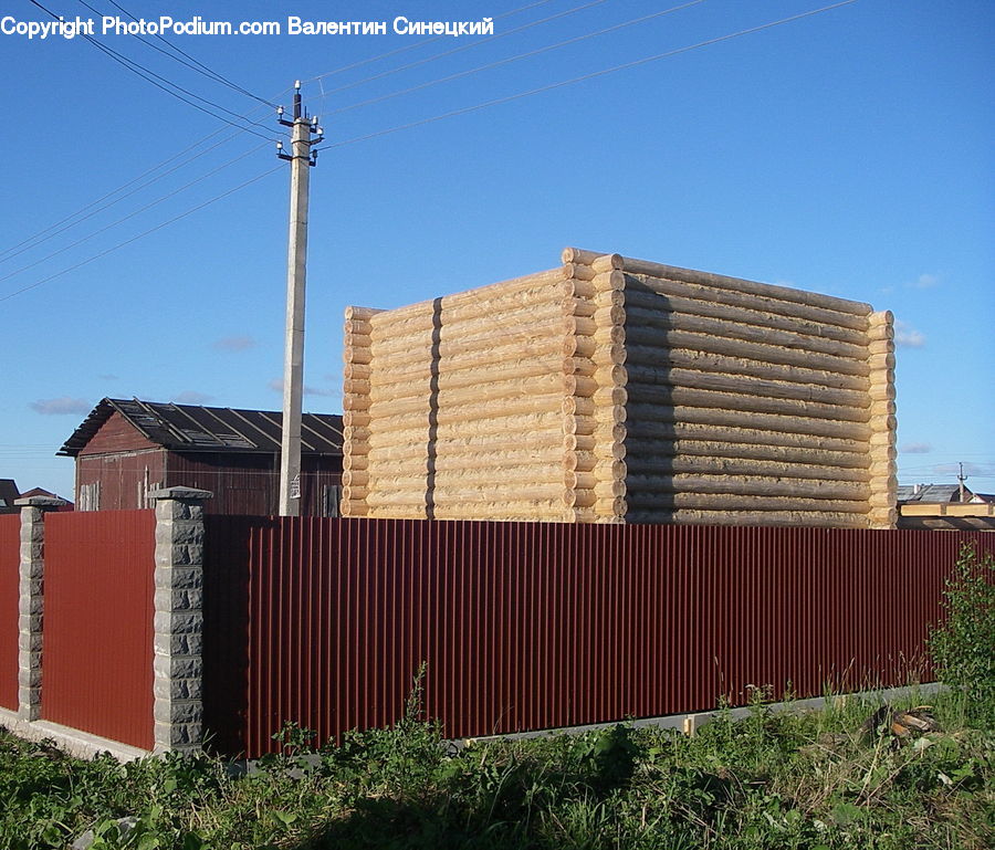 Plant, Potted Plant, Shipping Container, Apartment Building, Building, High Rise, Fence