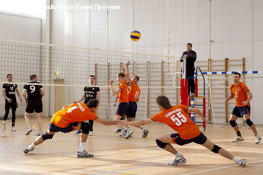 People, Person, Human, Basketball, Sport, Team, Team Sport
