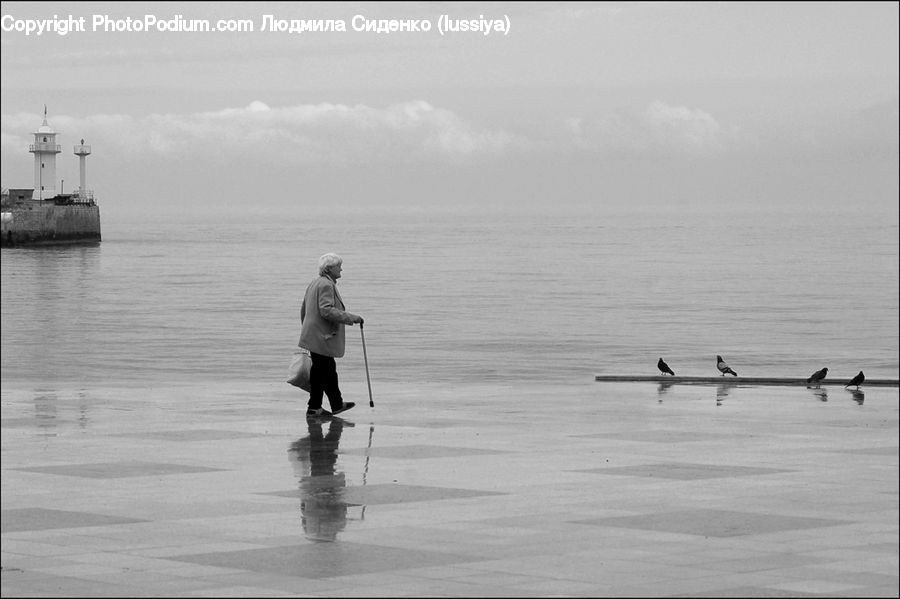 People, Person, Human, Cane, Stick, Bird, Cormorant