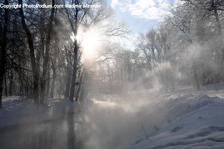 Blizzard, Outdoors, Snow, Weather, Winter, Landscape, Nature