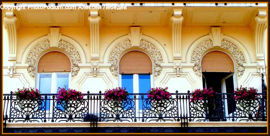 Plant, Potted Plant, Arch, Balcony, Altar, Architecture, Building