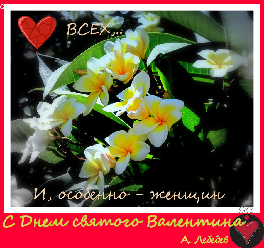 Brochure, Flyer, Poster, Collage, Art, Flower, Flower Arrangement