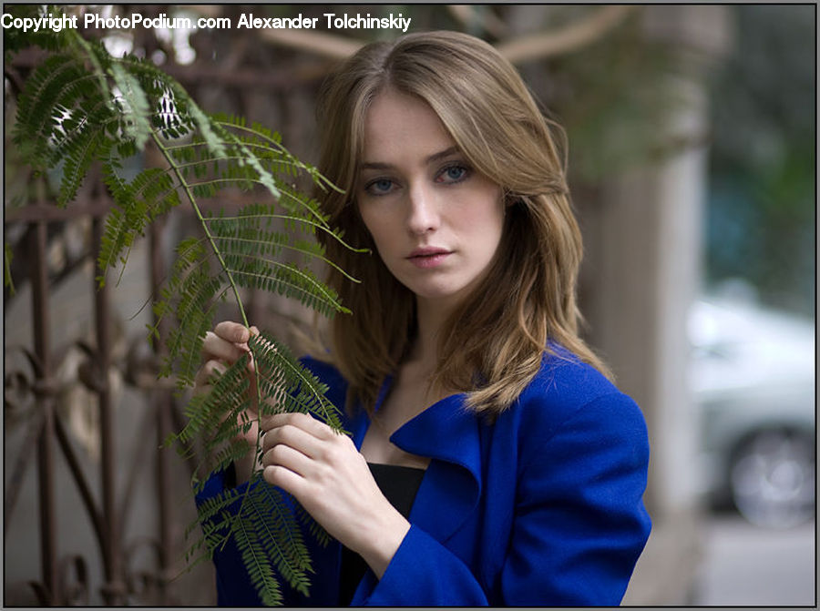 Human, People, Person, Fern, Plant, Arachnid, Garden Spider