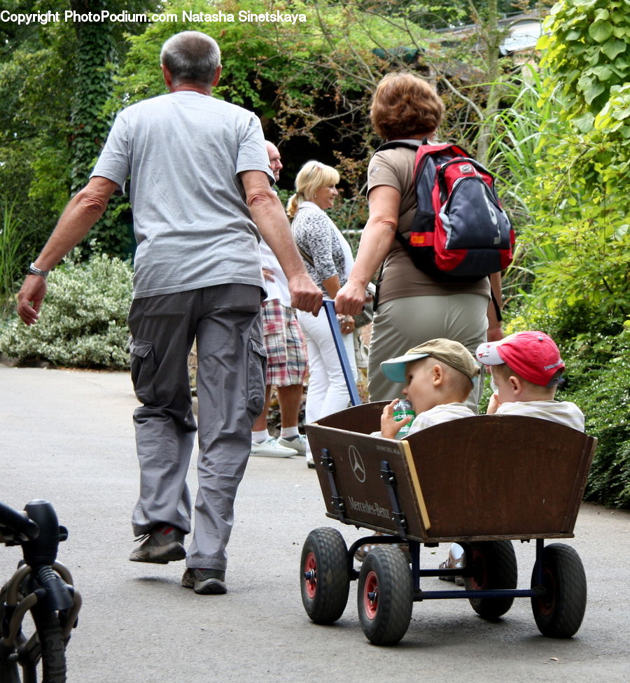 Human, People, Person, Segway, Stroller, Car, Wagon