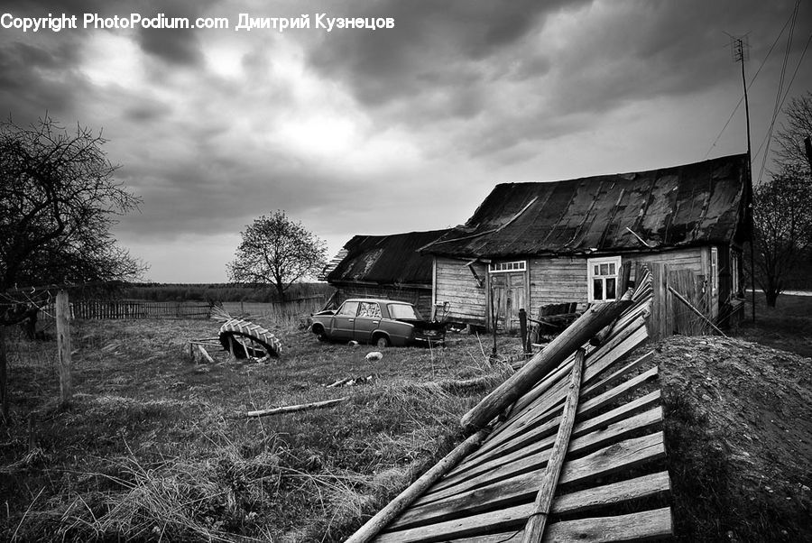 Plant, Tree, Automobile, Car, Vehicle, Cabin, Hut