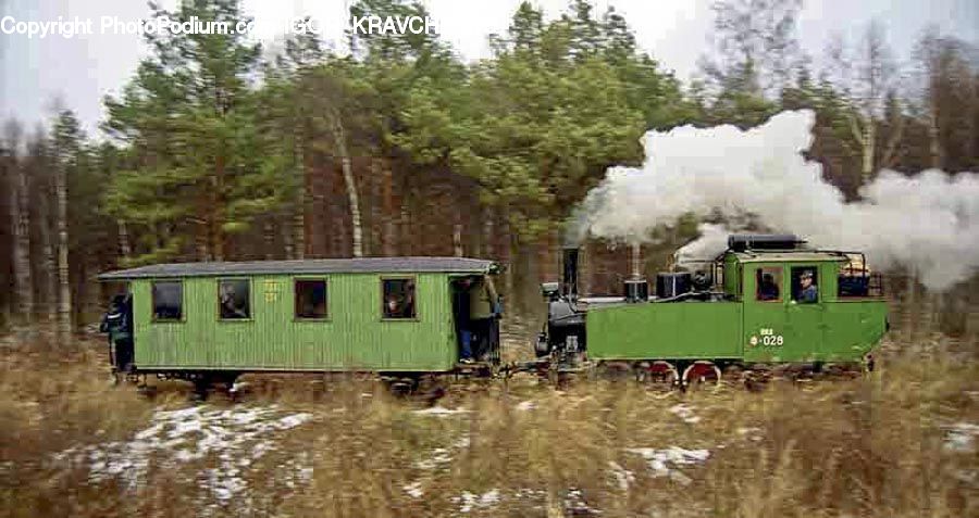 Train, Vehicle, Locomotive, Rail, Transportation, Engine, Machine
