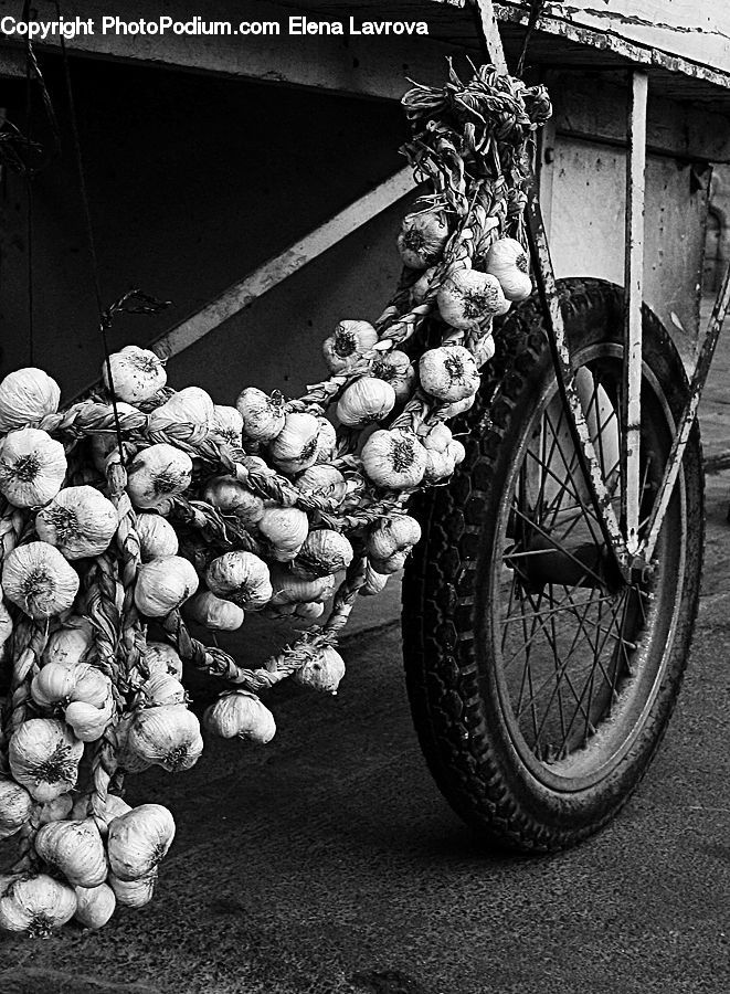 Tire, Bicycle, Bike, Vehicle, Moped, Motor Scooter, Motorcycle