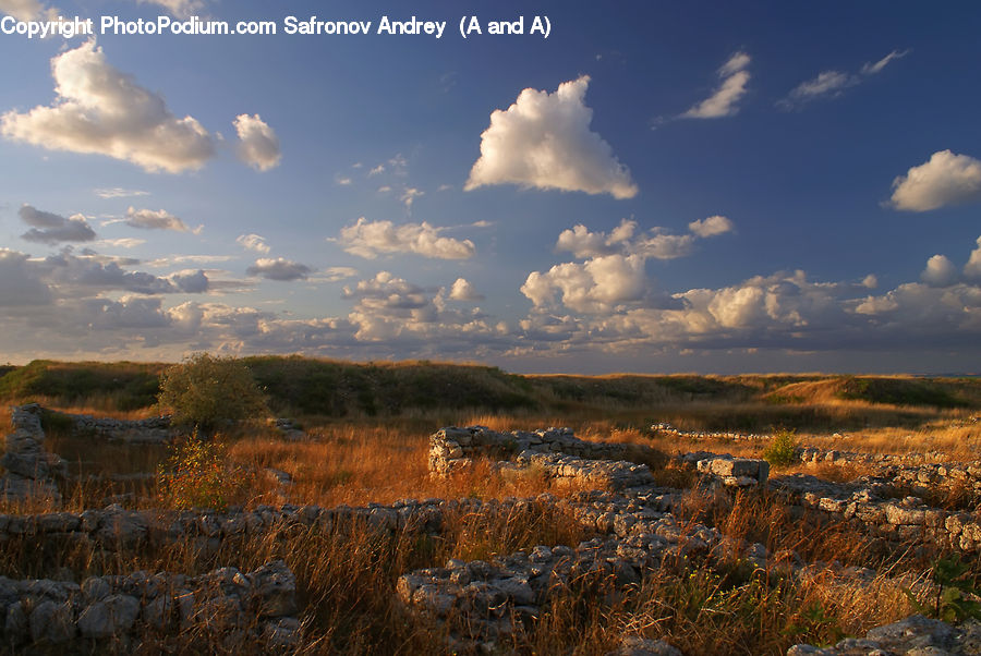 Cloud, Cumulus, Sky, Azure Sky, Outdoors, Field, Grass