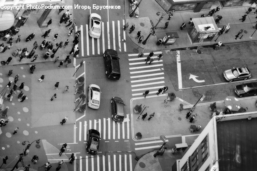 Intersection, Road, Automobile, Car, Vehicle, Asphalt, Zebra Crossing