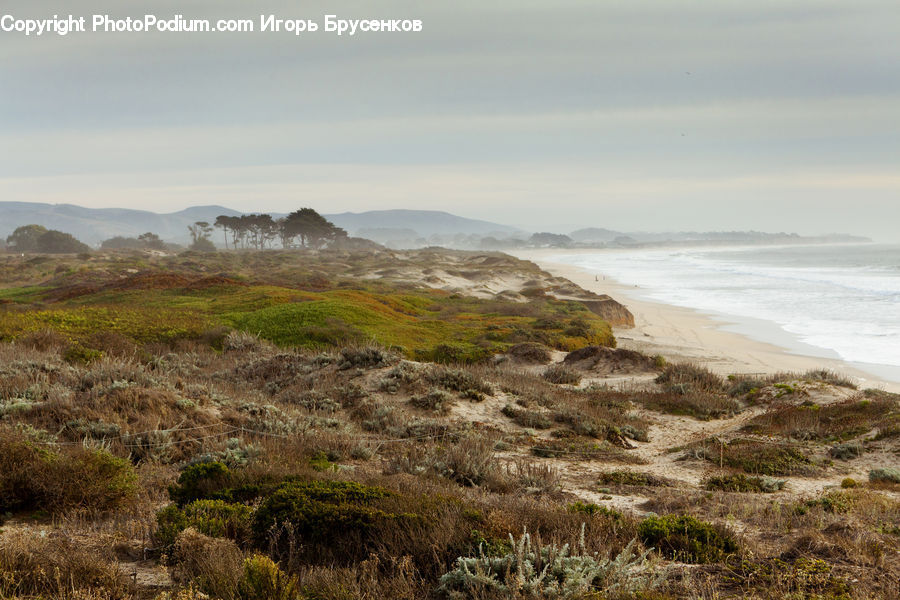 Coast, Outdoors, Sea, Water, Promontory, Cliff, Field